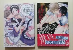 商業BL　ボーイズラブ　2点セット　まとめ売り　コミック　漫画