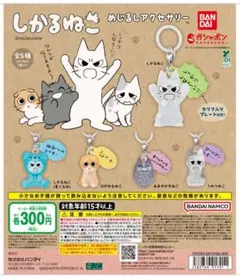 しかるねこ めじるしアクセサリー ガチャガチャ 1種