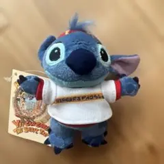 ダッフィー　ぬいば　ぬいぐるみバッジ　レイジングスピリッツ　キャストコスチューム ダッフィー ぬいば ぬいぐるみバッジ レイジングスピリッツ