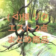 ( ᐛ)様専用　リクエスト 2点 まとめ商品