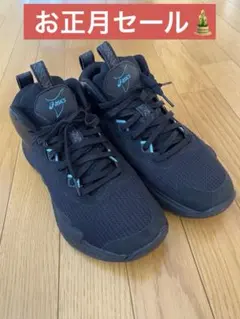 Item thumbnail for item b70581b7-2ab7-4b09-bae5-0457e240bacb