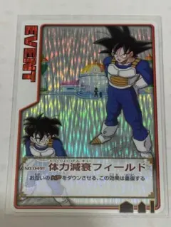 2026年最新】体力減衰フィールドの人気アイテム - メルカリ