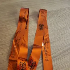 日本武道館　AMPTAK×COLORS 「虹」　 銀テープ➁