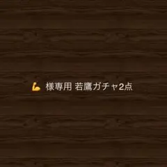 ※ 専用 出品