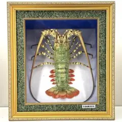 伊勢海老 剥製 イセエビの抜け殻から剥製を作ってみた | 魚道部！のブログ ～と