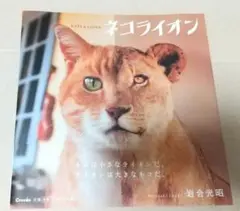 ネコライオン 岩合光昭著　直筆サイン入り