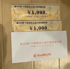 ビックカメラ　お買い物優待券