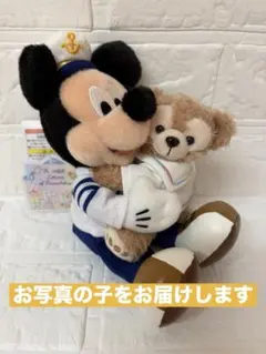 新品　ぬいぐるみバッジ　ミッキー＆ダッフィー　２０周年　ディズニーリゾート