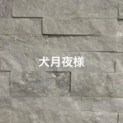 犬月夜様 お支払い期限11/29日22時迄