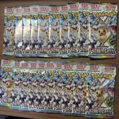 未サーチ品 シャイニートレジャー テラスタルフェス MEGAドリーム