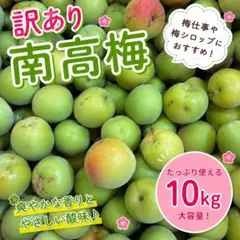 ⭕大量！そばかすあり！宮崎県産 農薬不使用 福じいちゃんの 青梅 箱