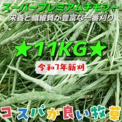 ★SPチモシー1番刈 11kg ◼︎小動物 ペットフード 牧草 うさぎ おやつのサムネイル