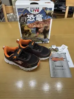 MACHGT学研の図鑑LIVE恐竜ティラノサウルスキッズシューズ18cm