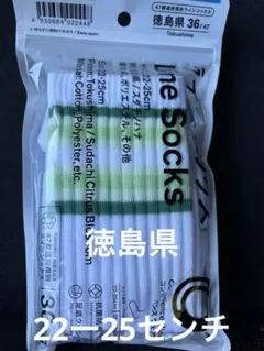新品未使用 愛媛県 47都道府県別ラインソックス