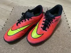 Item thumbnail for item 2b308d02-c0f5-4d90-ba8b-578d9ff4106e