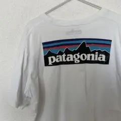 patagonia XL Tシャツ 100%コットン