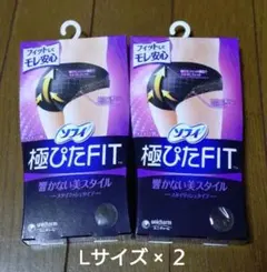 ユニチャーム 極ぴたFIT サニタリーショーツ Lサイズ × 2