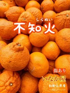最終！残り少し早い者勝ち！セール　和歌山　有田　不知火　家庭用　みかん　デコポンのサムネイル