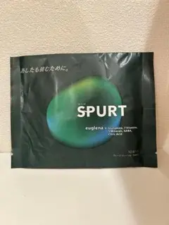 紙タグ付き！KANI SPORTS 90年代 刺繍ロゴ ハーフジップ 90s HIPHOP】カールカナイKANI SPORT刺繍ロゴメッシュジャージ
