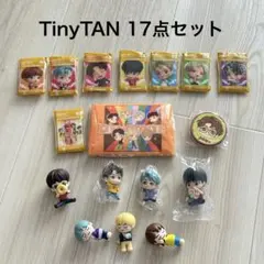 TinyTAN 17点セット チャーム フィギュア BTS