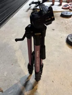 Item thumbnail for item 60c1cccc-23c3-41ba-9822-1373b635a556