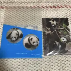 Item thumbnail for item d6fbd3b5-2ce0-4a12-86a5-828ed291b9ad