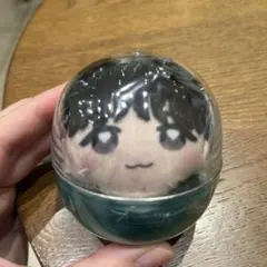 INI かぷっこふれんず 後藤威尊 ガチャ ガチャガチャ ぬい ぬいぐるみ