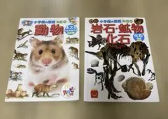 ハッピーセット　小学館の図鑑NEO 動物　岩石鉱物化石2冊セット