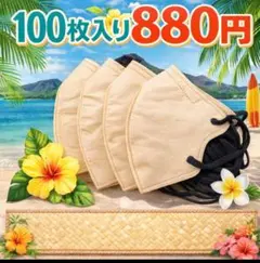 【冷感素材】 マスク 100枚入り 880円
