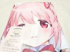 ムービック 魔法少女まどか☆マギカ 美樹さやか 佐倉杏子 抱き枕カバー