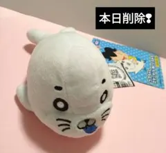 少年アシベ ゴマちゃん ぬいぐるみS　おさかなだいすき