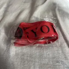 B'z ネックストラップ　FYOP ガチャガチャ