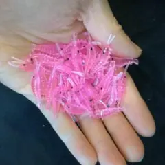 Item thumbnail for item b676bbe4-097f-429e-9bbc-75ee860a88c8