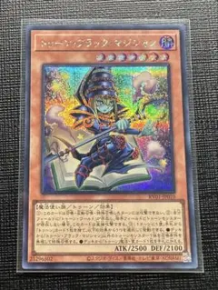 遊戯王　トゥーンブラックマジシャン　シークレット