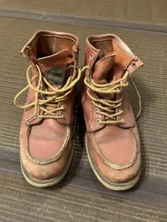 アイリッシュセッター