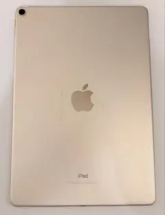 iPad Pro 10.5インチ 256GB ゴールド ジャンク品　アイパッド