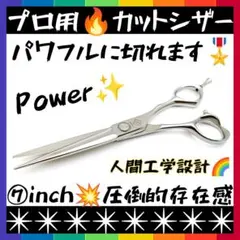 動物専門学校 犬用 中古トリミングセット DOGWELL 東光舎 ハサミ