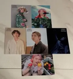 藤澤涼架 6枚セット フォトカ バベルの塔