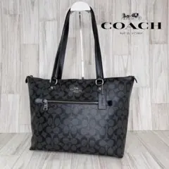 2026年最新】coachトートバッグシグネチャー新品未使用の人気アイテム