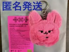 2026年最新】TxT プルバトゥ キーリングの人気アイテム - メルカリ