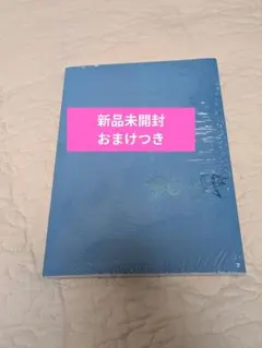 新品未開封 ald1 少年BEAST Cementic Nest Ver.