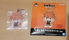 ハイキュー 一番くじ ゴミ捨て場の決戦 アクリル キーホルダー 日向翔陽