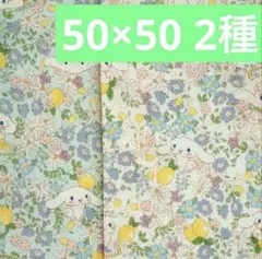 Item thumbnail for item ef85227e-1838-4101-9ec3-5e5d604fa919