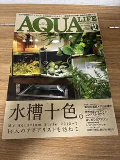 Item thumbnail for item 2b3b8c9e-1c4a-43da-8762-fe8d0e625ee3