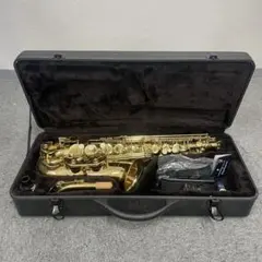 美品 テナーサックス SELVA 管楽器 ケース付 彫刻 セット アルト