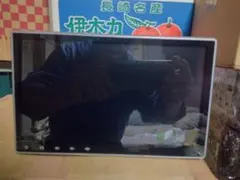 XTRONS 10インチオーディオデスプレイジャンク品