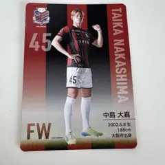 2022 北海道コンサドーレ札幌 直筆サインカード 中島大嘉 2022 北海道コンサドーレ札幌 直筆サインカード 中島大嘉 2025年