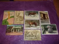 Item thumbnail for item d3b14772-5489-4174-bdc5-b9168a17a6ed