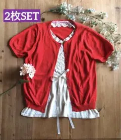 洗濯機で洗えるカーディガン ➕タンクトップレースカットソー　earth ユニクロ