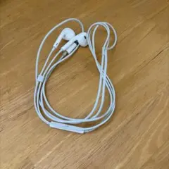 Apple Lightningイヤホンのサムネイル